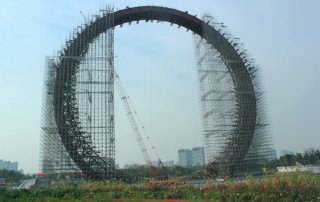 6 типов системных лесов и их использование